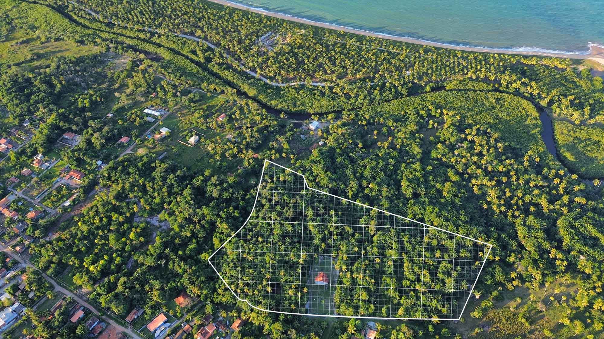 Aerial view of the coastline at Santo André, Bahia, showing pristine beach and calm waters